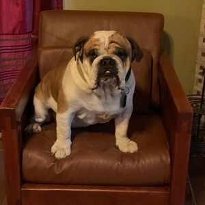 Meet your Posher, Roberto